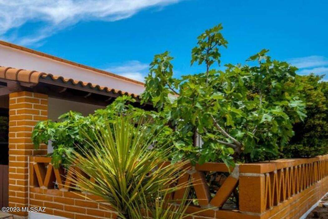 https://bt-photos.global.ssl.fastly.net/tucson/1280_boomver_1_22601737-2.jpg