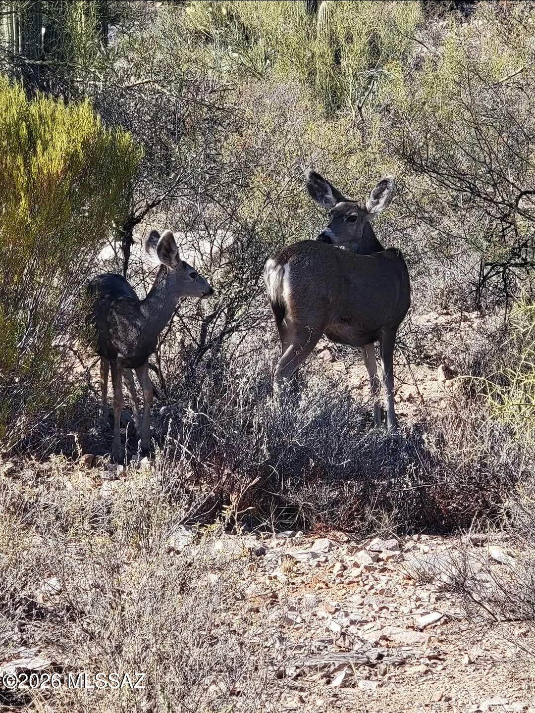 https://bt-photos.global.ssl.fastly.net/tucson/1280_boomver_1_22601929-2.jpg