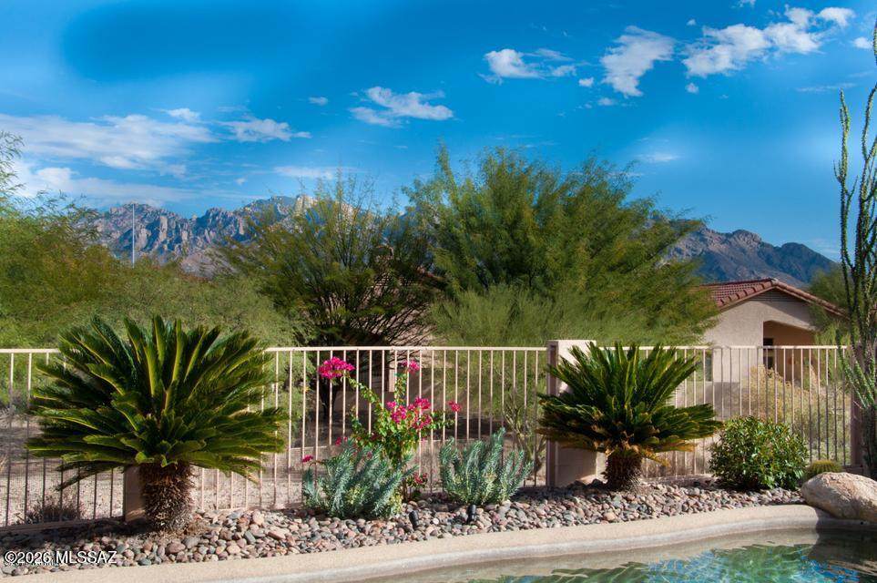 11122 Desert Flower Drive - Photo 1