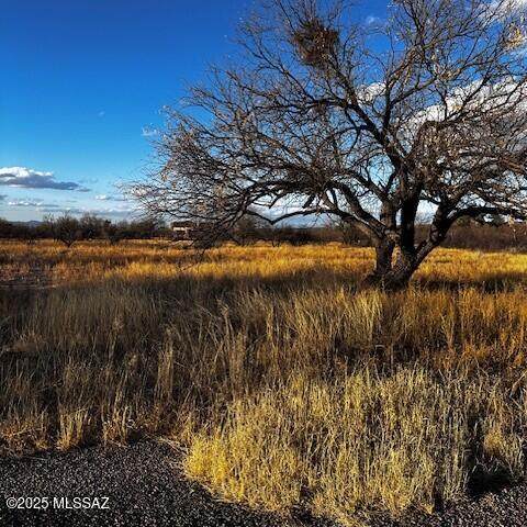 4 De Anza Lane - Photo 1