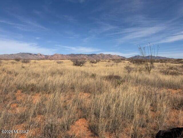 https://bt-photos.global.ssl.fastly.net/tucson/orig_boomver_1_22606996-2.jpg
