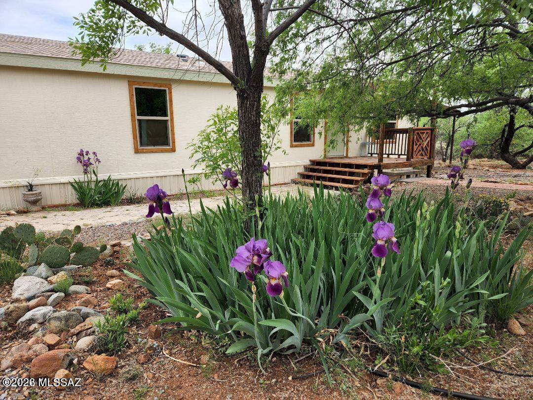 16140 Elkins Road - Photo 1