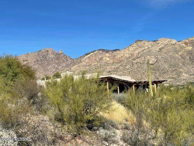 6350 Placita Arista - Photo 1
