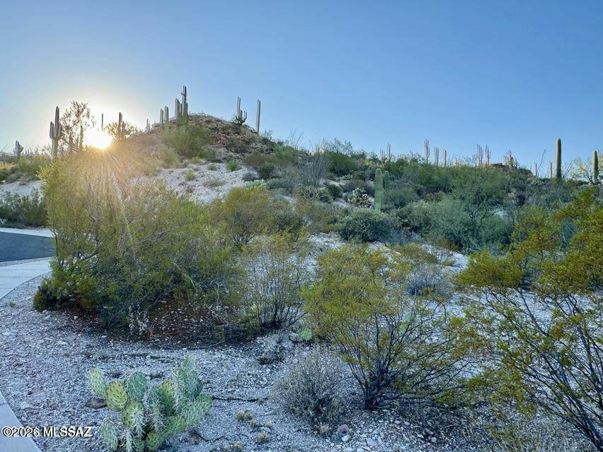 https://bt-photos.global.ssl.fastly.net/tucson/orig_boomver_1_22610265-2.jpg