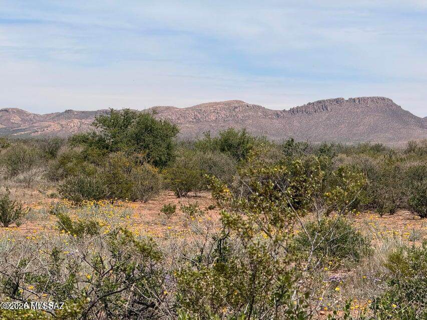 Lot 3940 Valladolid Drive - Photo 1