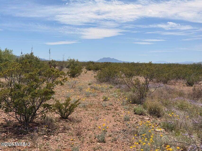 https://bt-photos.global.ssl.fastly.net/tucson/orig_boomver_1_22610388-2.jpg