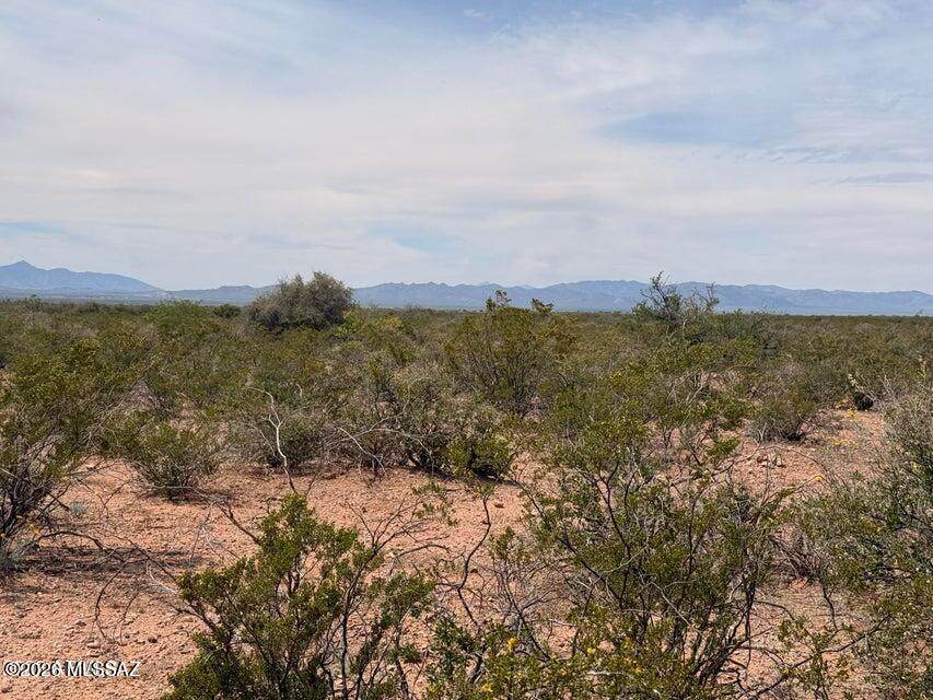 https://bt-photos.global.ssl.fastly.net/tucson/orig_boomver_1_22610388-2.jpg