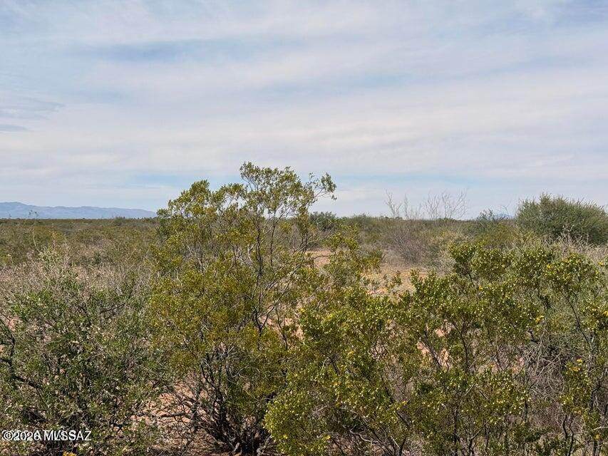 https://bt-photos.global.ssl.fastly.net/tucson/orig_boomver_1_22610388-2.jpg