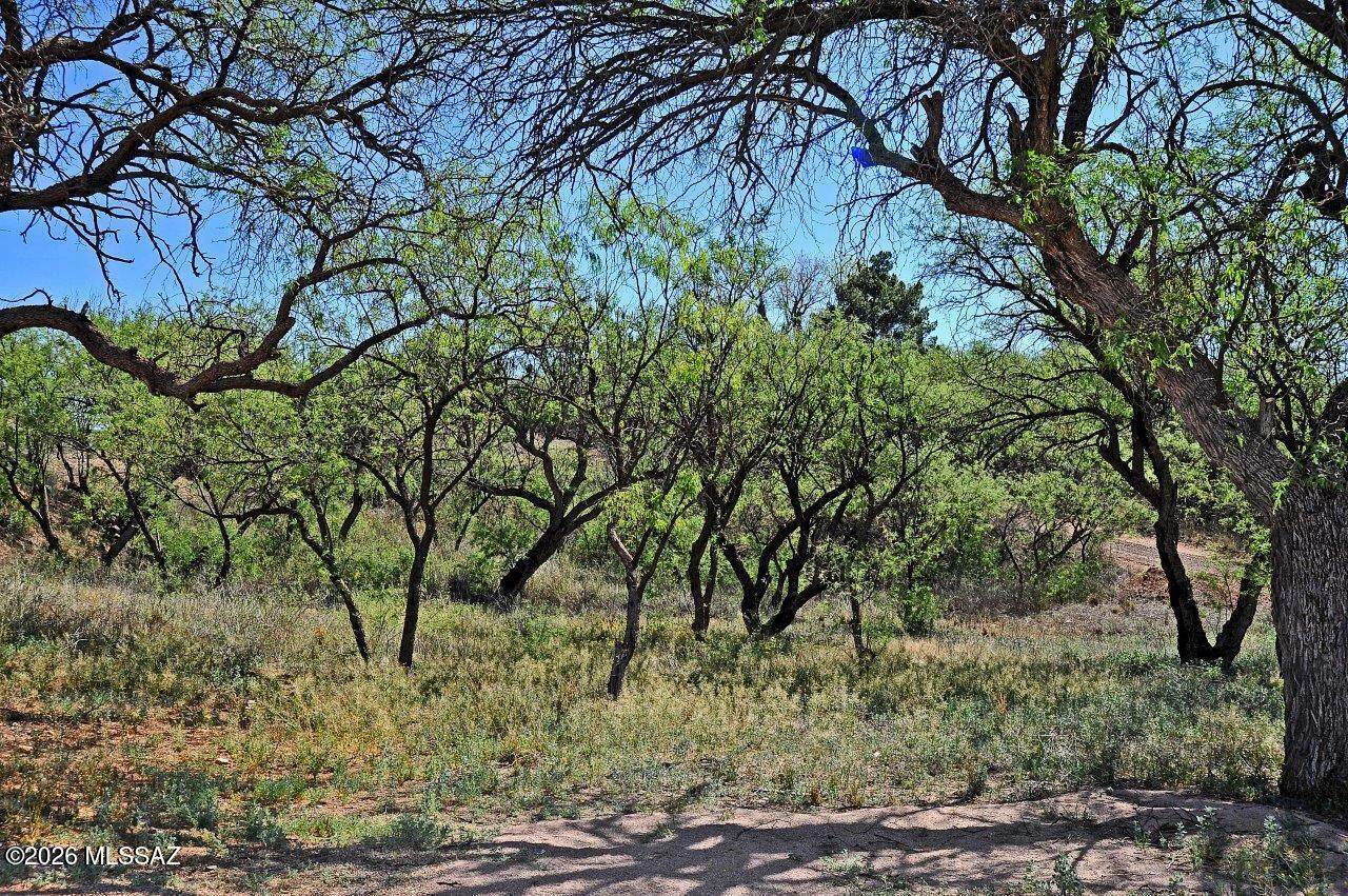 https://bt-photos.global.ssl.fastly.net/tucson/orig_boomver_1_22610754-2.jpg