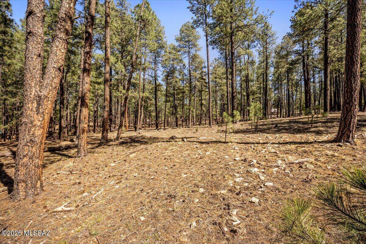 TBD County Road 2325 - Photo 1