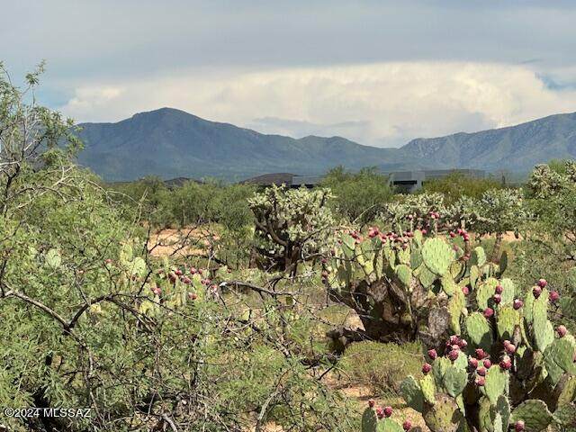 https://bt-photos.global.ssl.fastly.net/tucson/1280_boomver_1_22611229-2.jpg