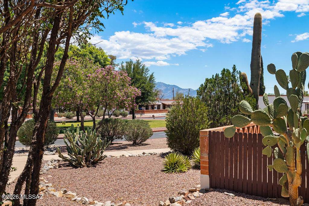 434 Paseo Lobo - Photo 1