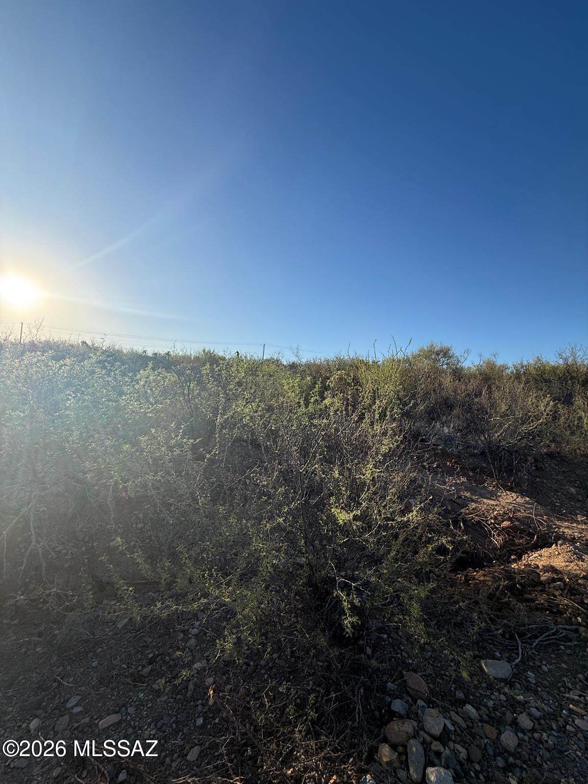 https://bt-photos.global.ssl.fastly.net/tucson/orig_boomver_1_22613805-2.jpg