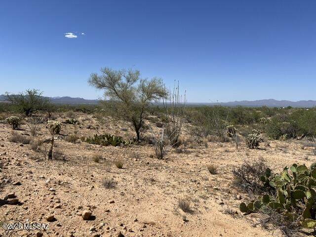 https://bt-photos.global.ssl.fastly.net/tucson/orig_boomver_1_22614105-2.jpg