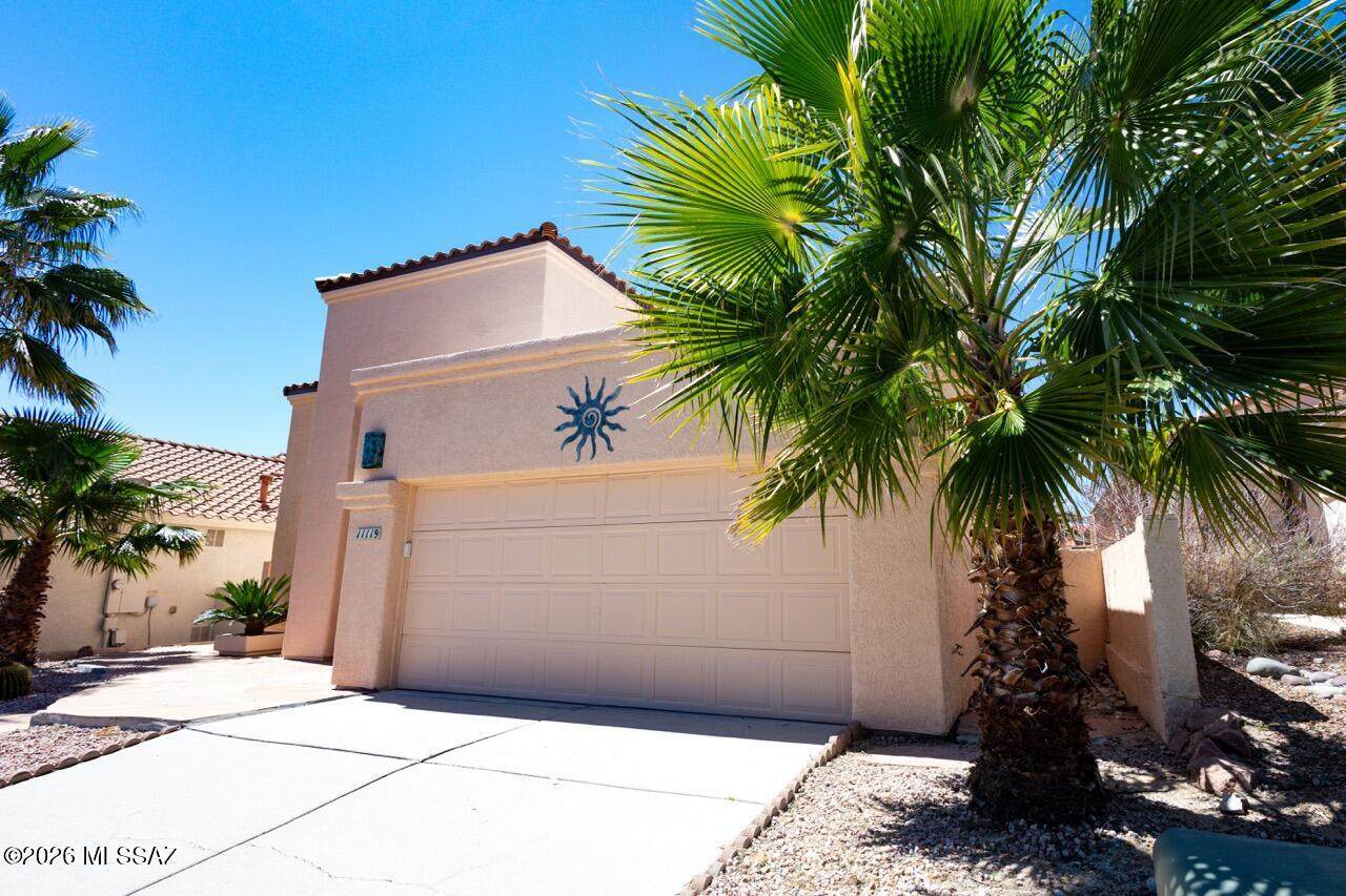 11119 Desert Flower Drive - Photo 1