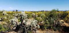 https://bt-photos.global.ssl.fastly.net/tucson/orig_boomver_1_22622045-2.jpg