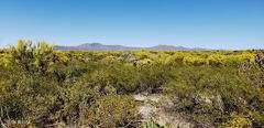 https://bt-photos.global.ssl.fastly.net/tucson/orig_boomver_1_22622045-2.jpg