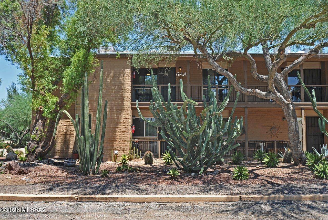 6 Greenock Drive - Photo 1