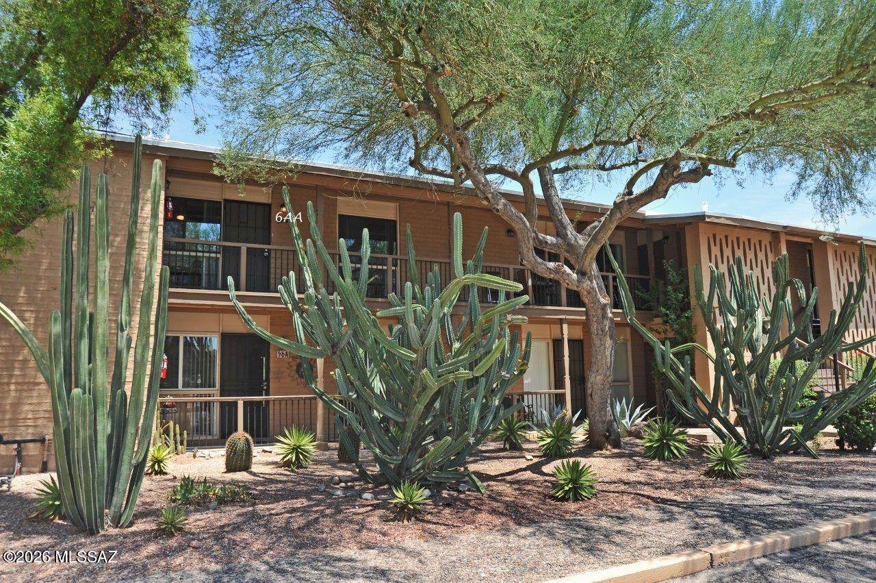 https://bt-photos.global.ssl.fastly.net/tucson/orig_boomver_1_22622634-2.jpg