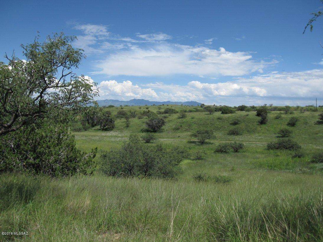 26574 Old Sonoita Highway - Photo 1