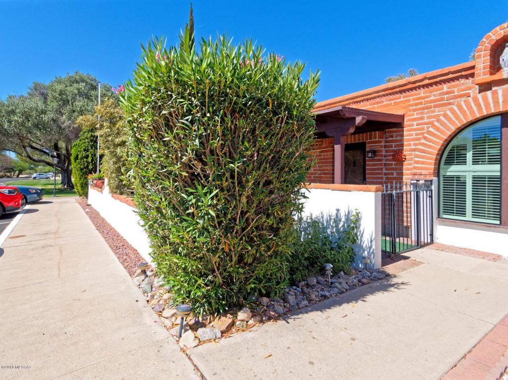 336 Paseo Aguila - Photo 1