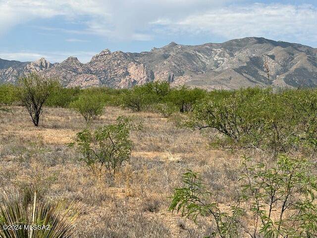TBD Cochise 7.49 Acres Way - Photo 1