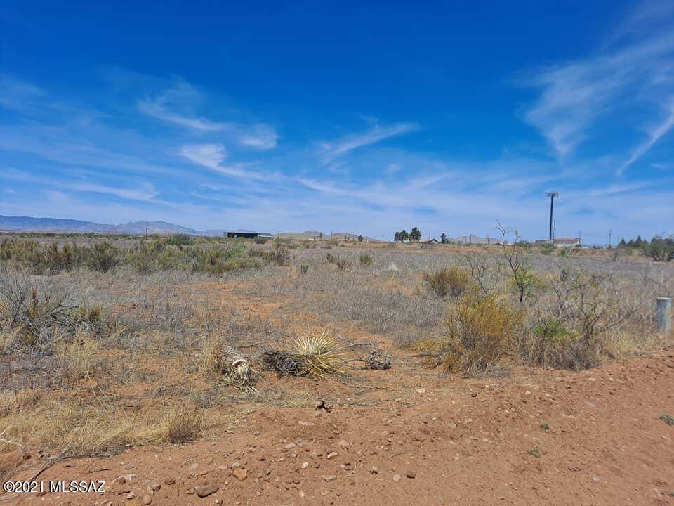 Lots10-11 Swisshelm Road - Photo 1