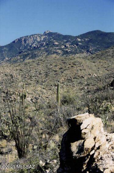 Gila Monster Way - Photo 1