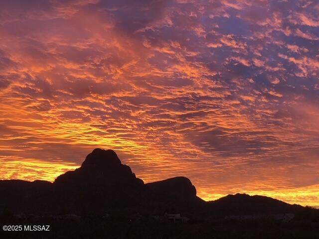 8273 Amber Burst Drive - Photo 1