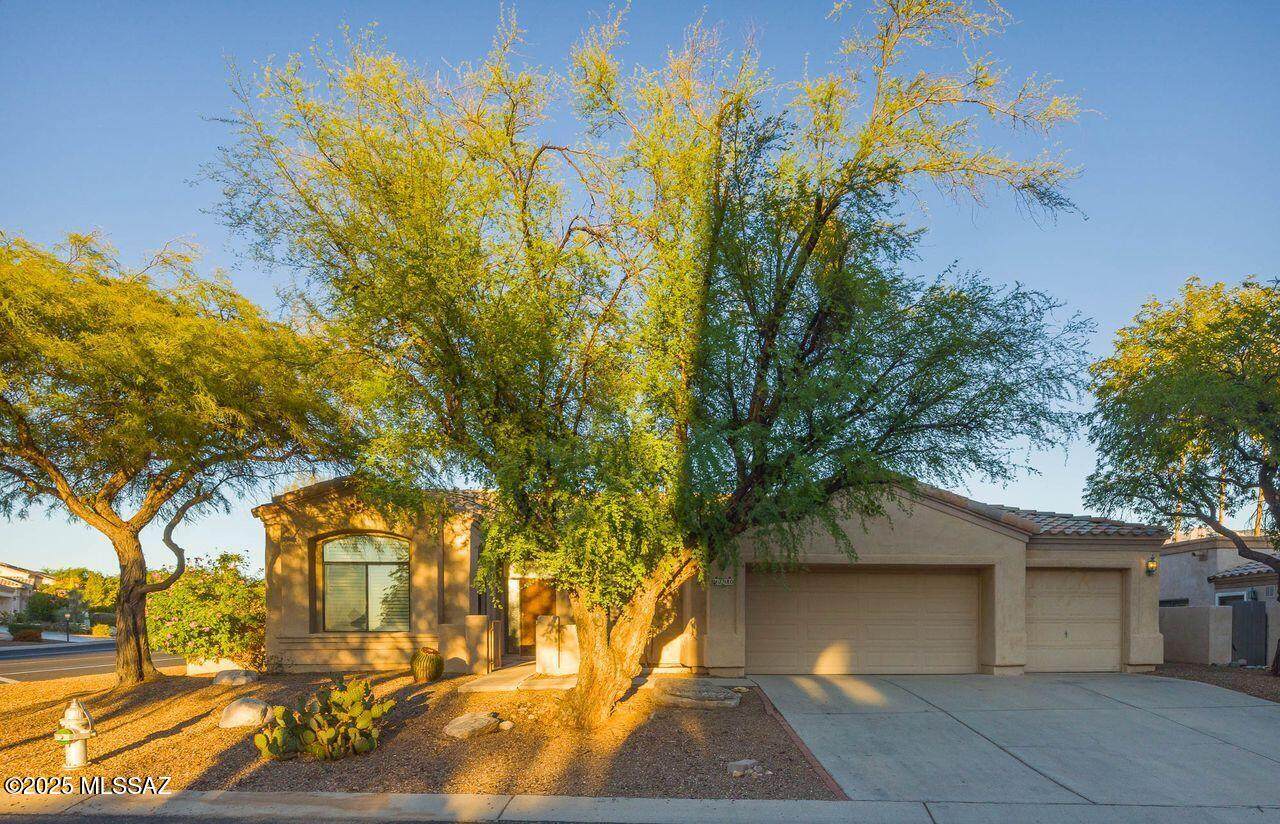 1980 Muirhead Loop - Photo 1