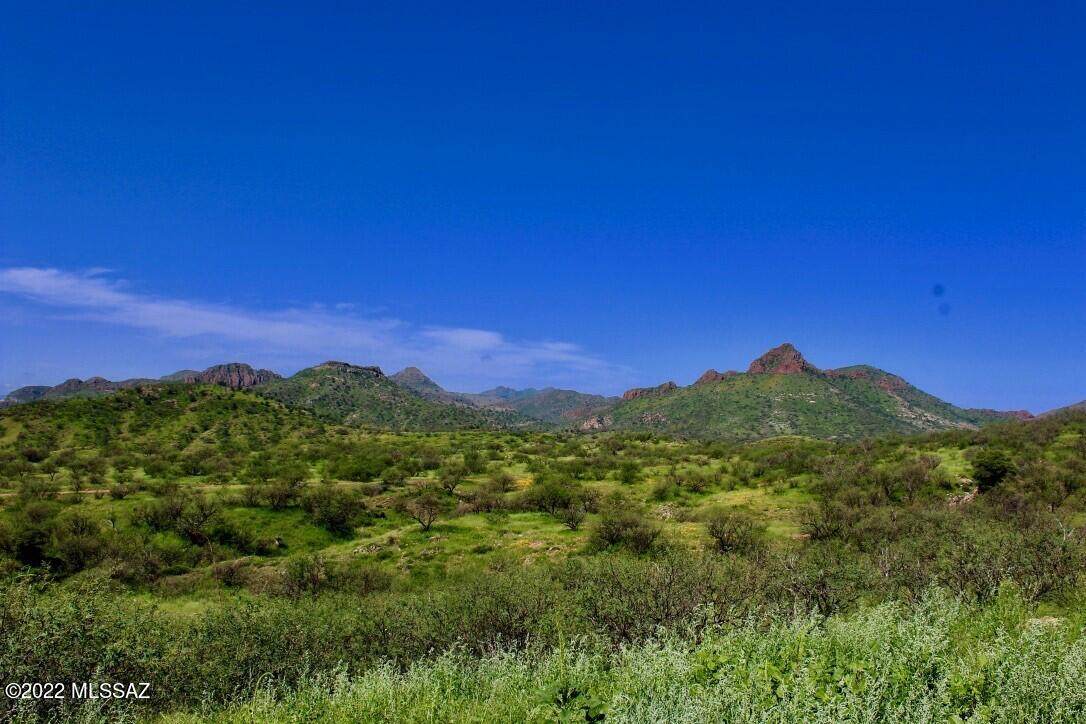 TBD Muledeer Drive - Photo 1