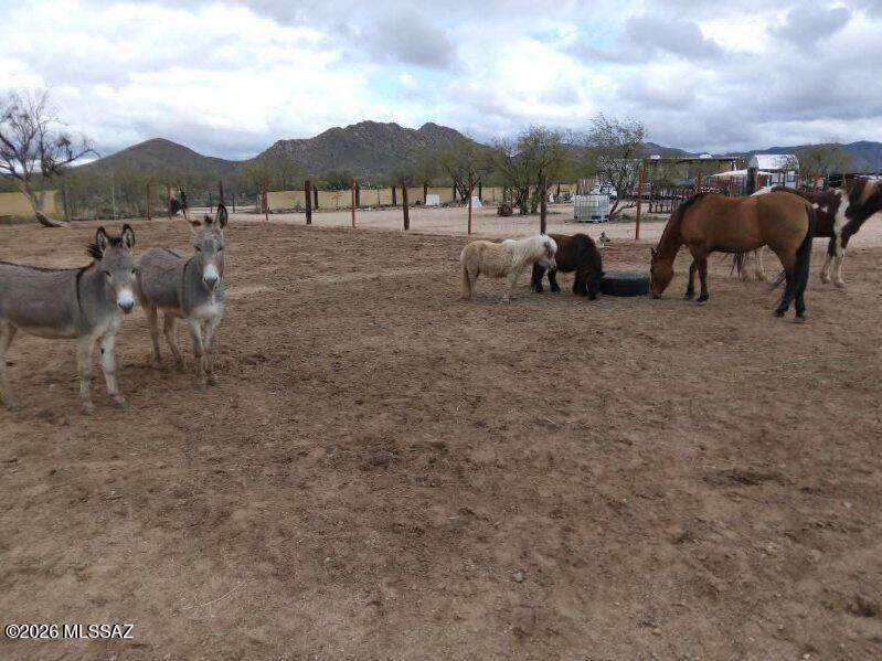 15246 Carlsburg Avenue - Photo 1