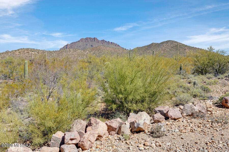 https://bt-photos.global.ssl.fastly.net/tucson/orig_boomver_2_22603843-2.jpg