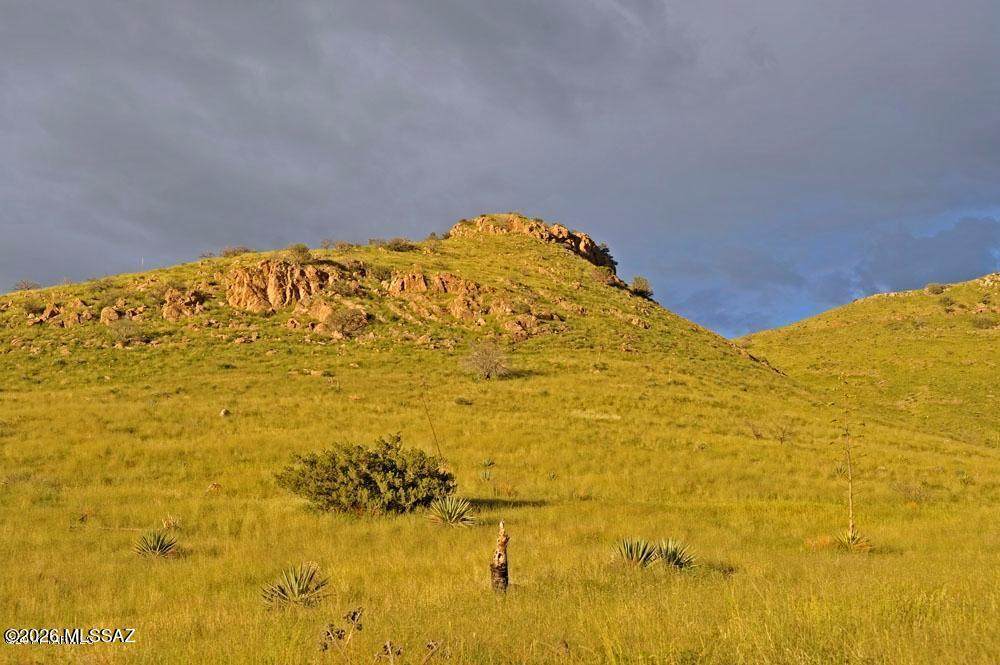 https://bt-photos.global.ssl.fastly.net/tucson/1280_boomver_2_22606849-2.jpg