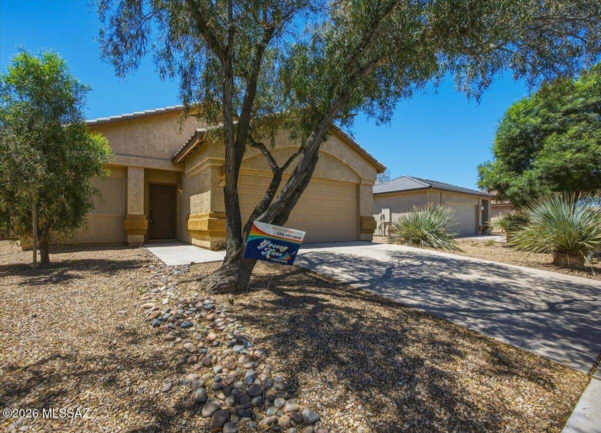11371 Burning Sage Street - Photo 1