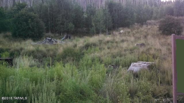 11060 Carter Canyon Road - Photo 1