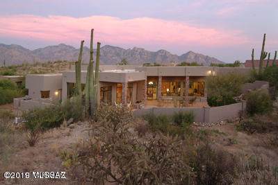 14249 Honey Bee Trail - Photo 1
