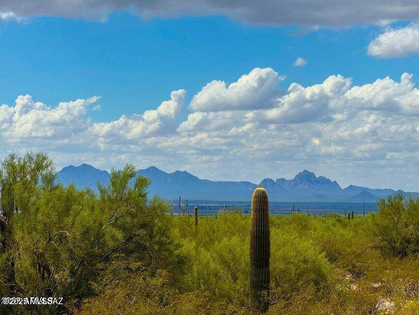 0 Twin Hawk Ln Lot 4 (5 Acres) - Photo 1