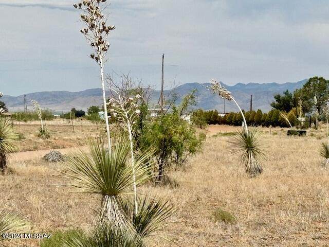 13250 Ft Mohave - Photo 1