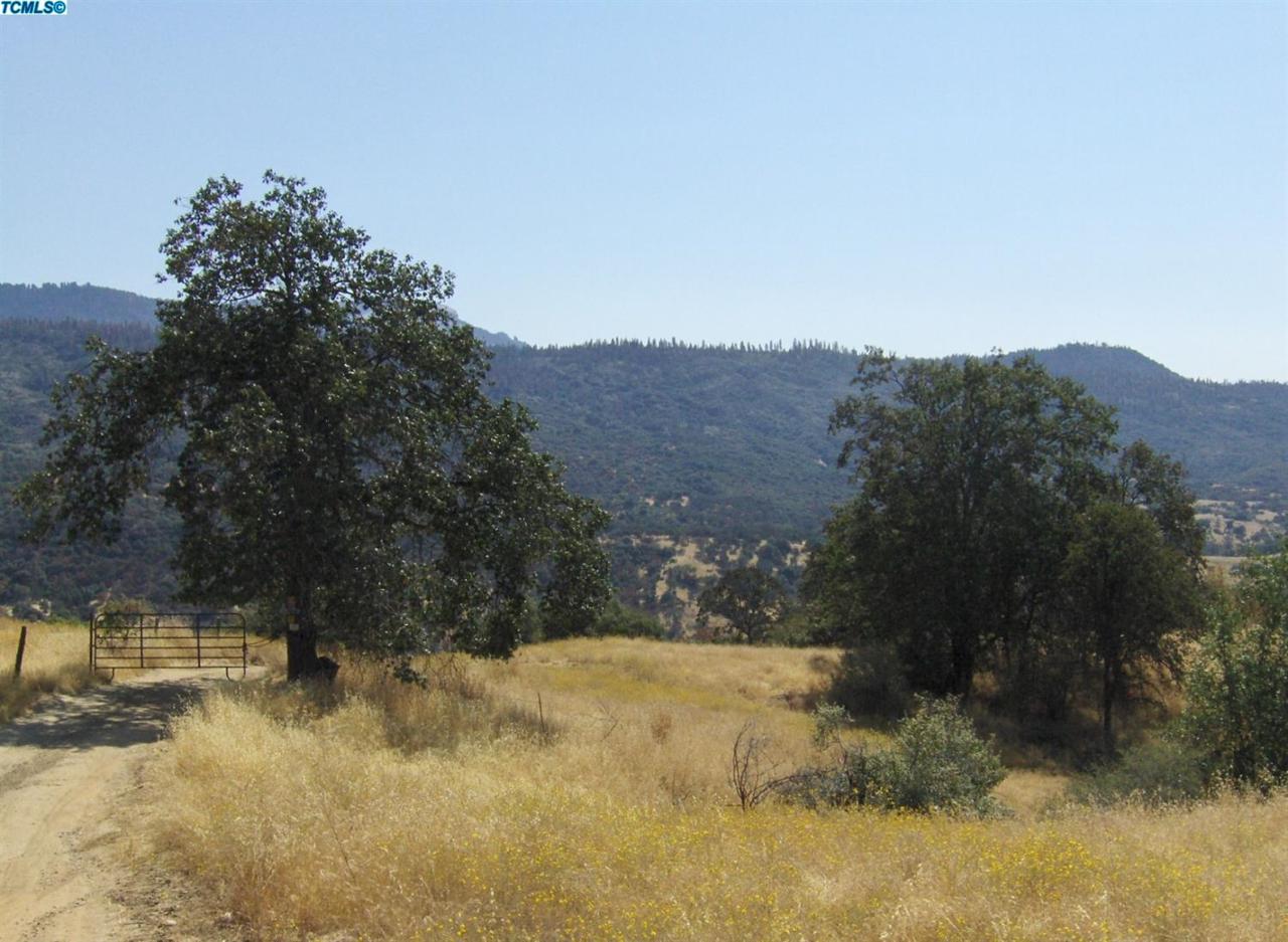0 Hogback Road - Photo 1
