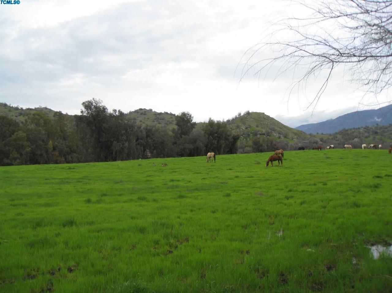 0 Success Valley Drive - Photo 1