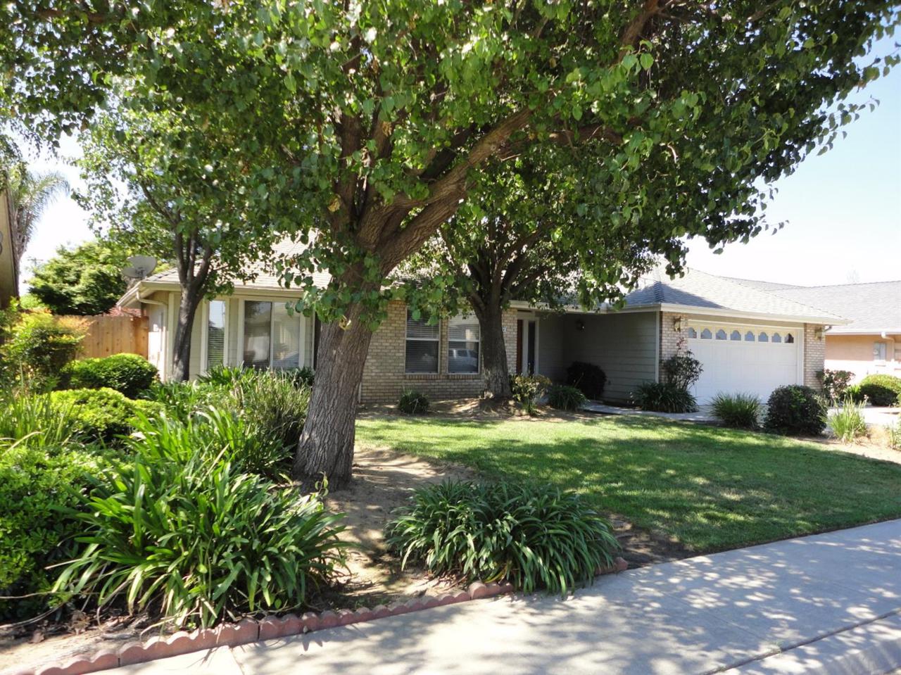 1224 Aslan Way - Photo 1