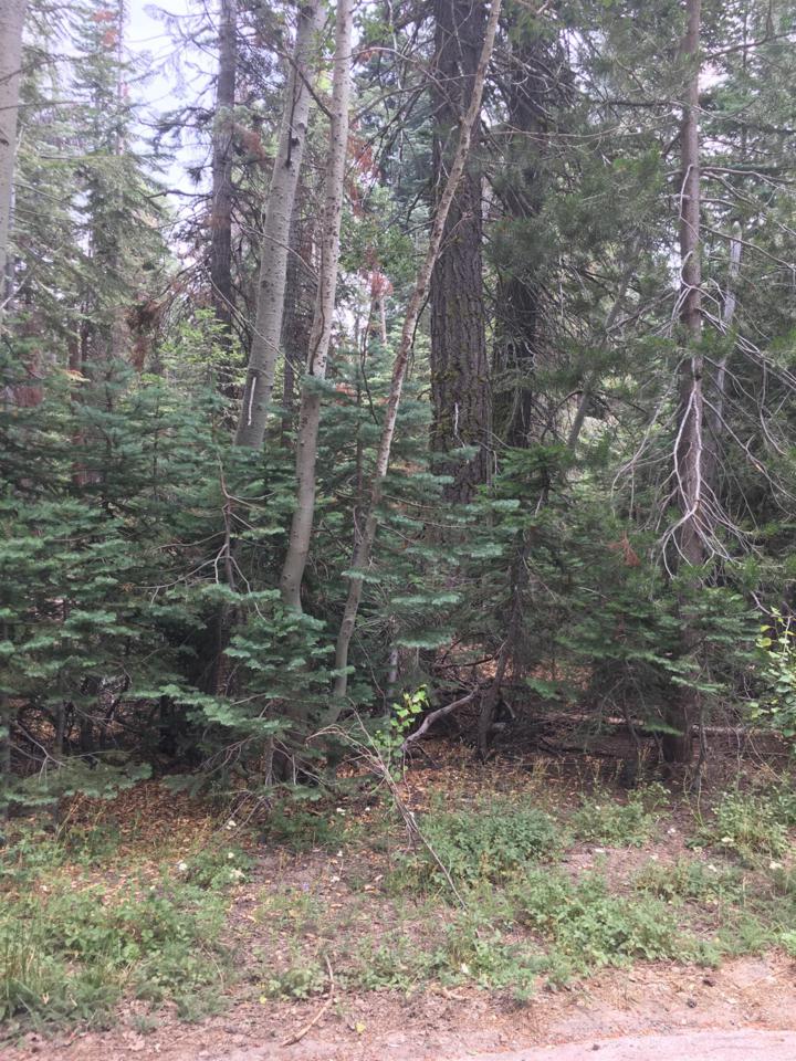 0 Snowflake Drive - Photo 1