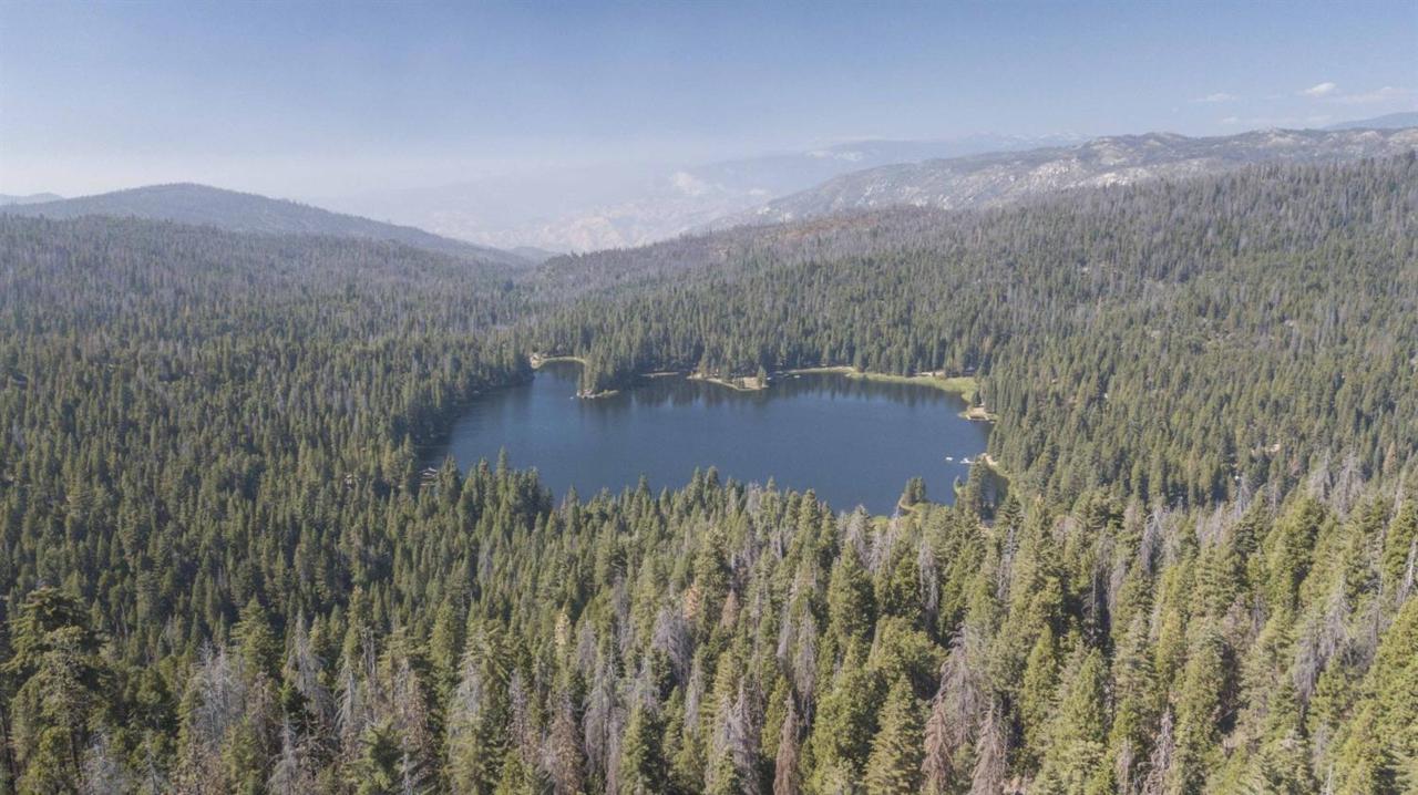 50401 Kings Canyon Road - Photo 1