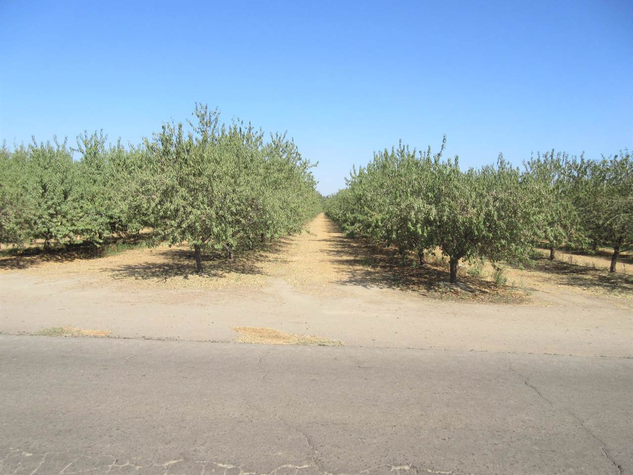 Avenue 112 - Photo 1