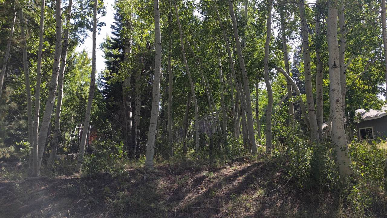 00 Aspen Drive - Photo 1