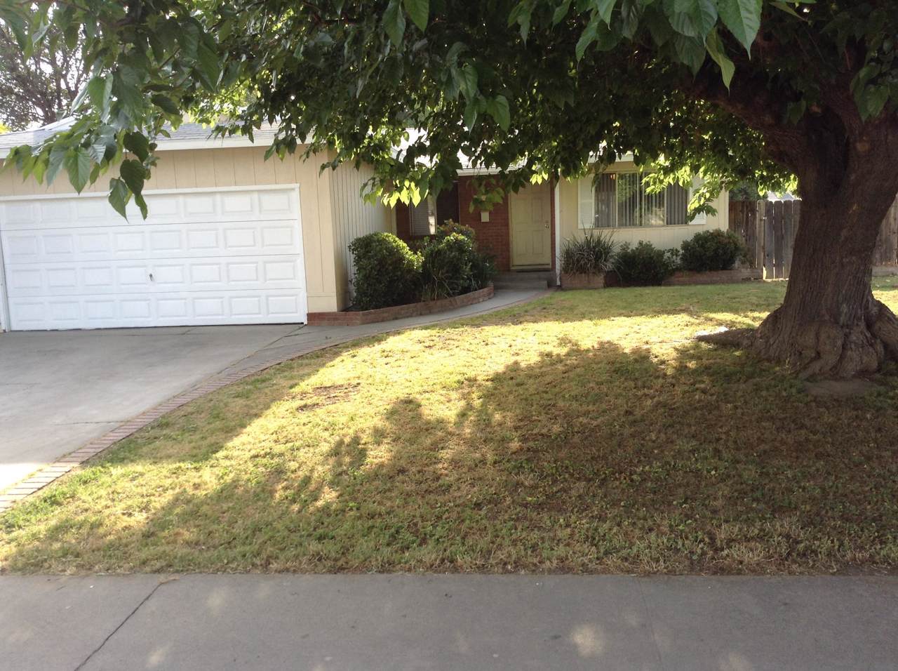 2538 Encina Street - Photo 1