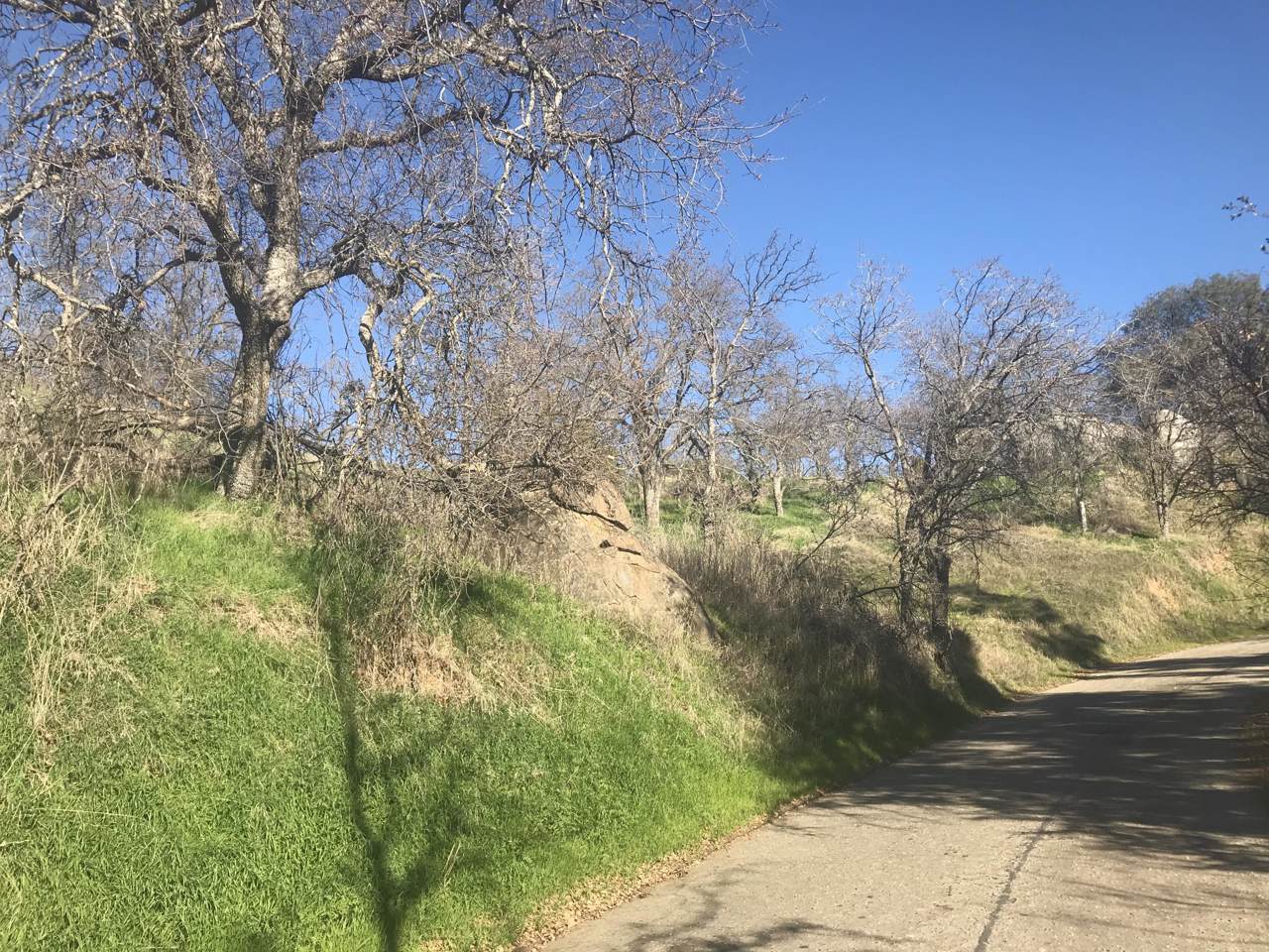 0 Sierra King Drive - Photo 1