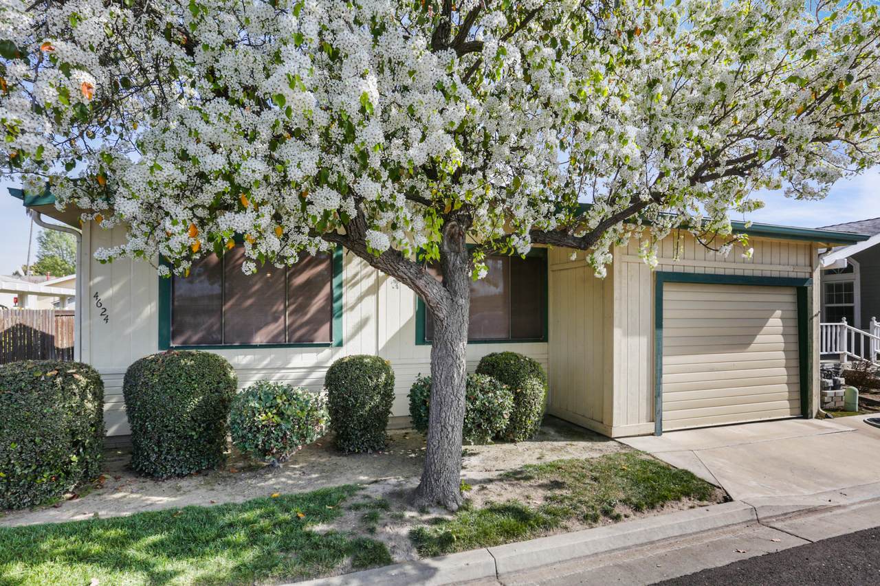 4624 Terrace Street - Photo 1