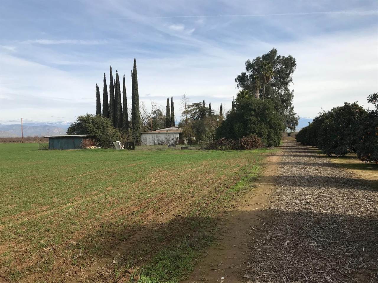 35599 Rd 150 - Photo 1